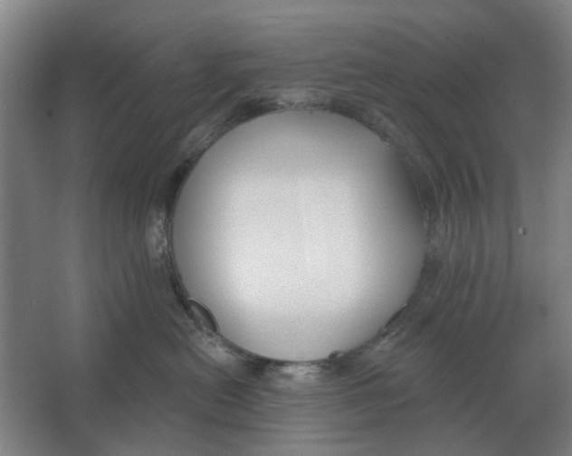 X0000066990478200604142237