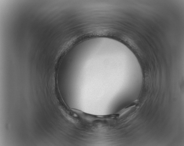 X0000066990493200604142236
