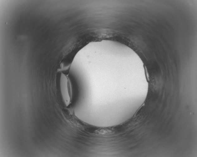 X0000066990512200604142236