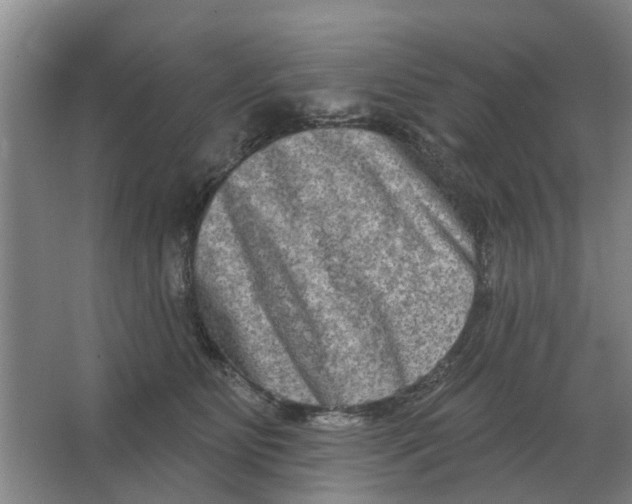 X0000066990515200604142236