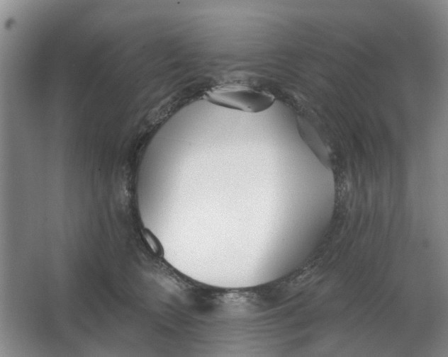 X0000066990566200604142235