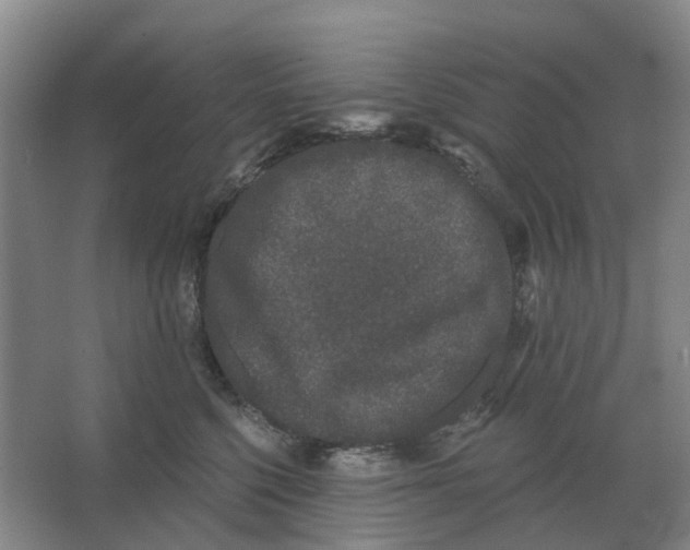 X0000066990568200604142235