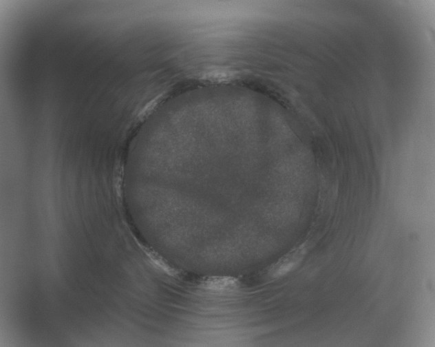 X0000066990576200604142235