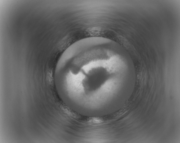 X0000066990610200604142234