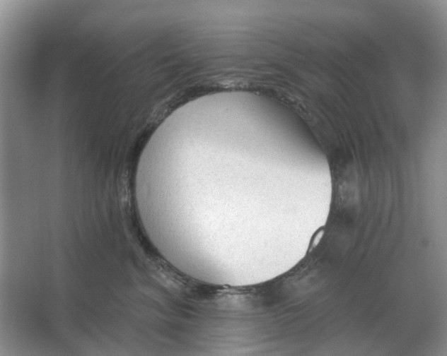 X0000066990620200604142234