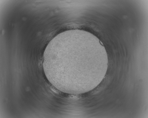 X0000066990624200604142234