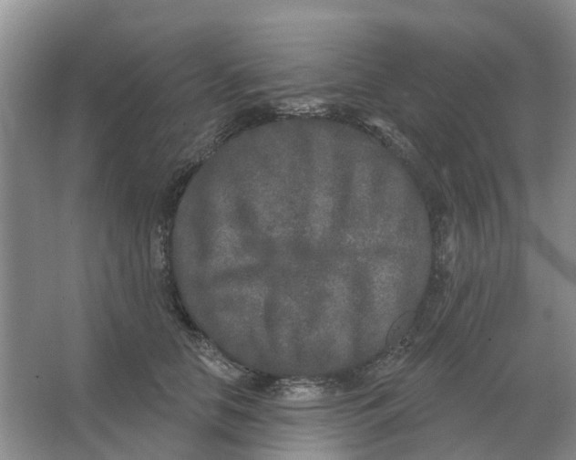X0000066990658200604142234