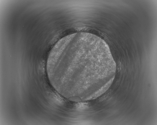 X0000066990664200604142234