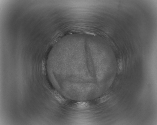 X0000066990667200604142234