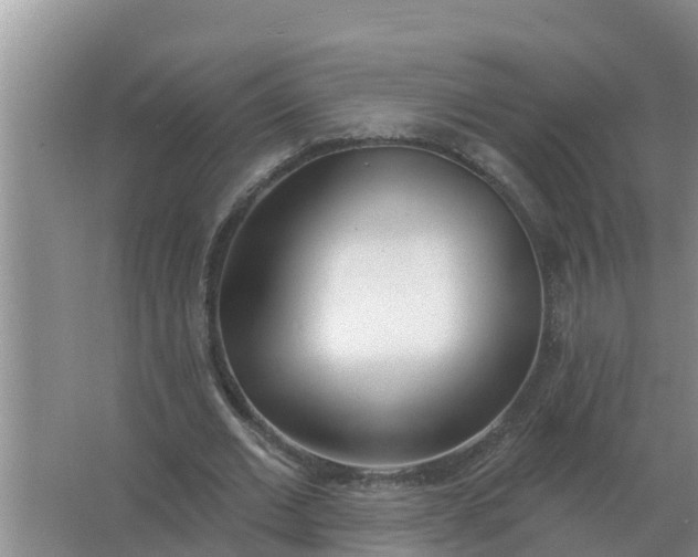 X0000066990677200604142233