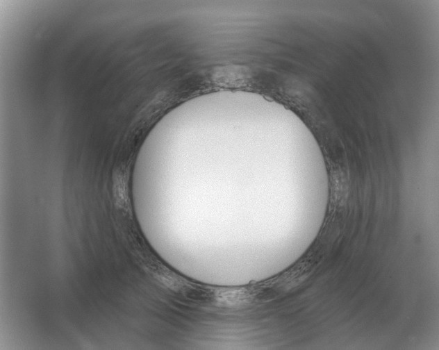 X0000066990705200604142233