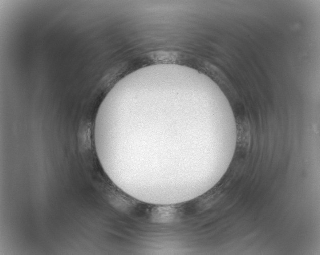 X0000066990717200604142232