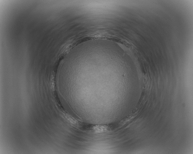 X0000066990762200604142232