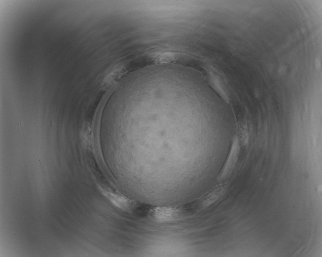 X0000066990766200604142232