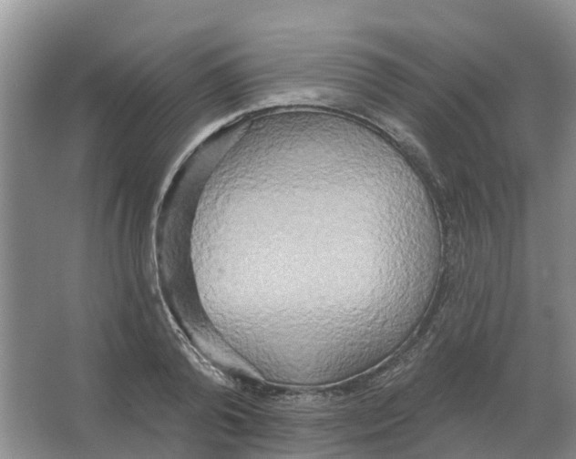 X0000066990792200604142231