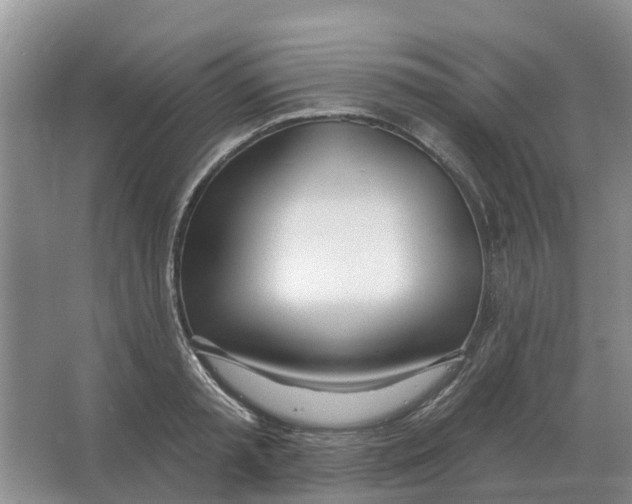 X0000066990797200604142231