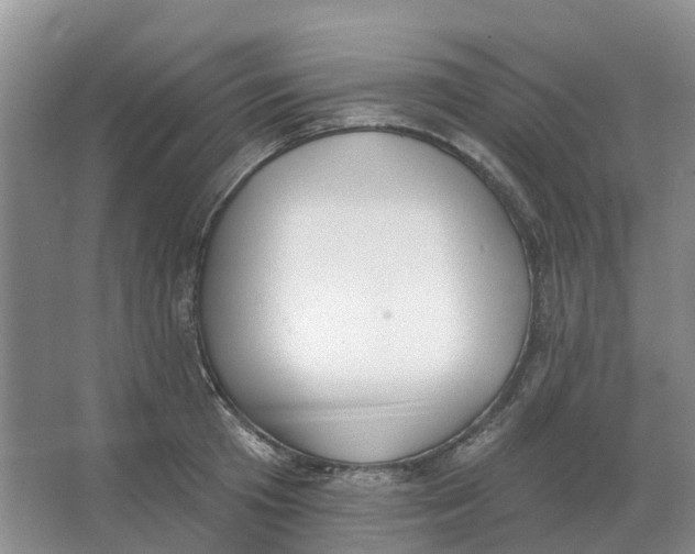 X0000066990801200604142231