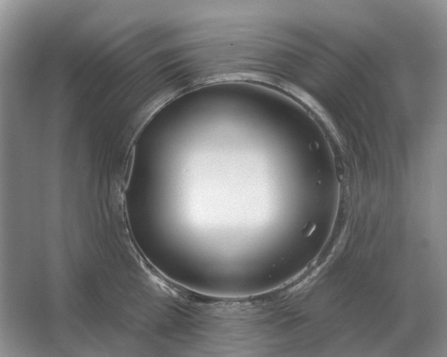 X0000066990809200604142231