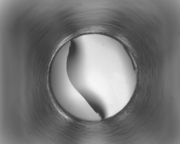 X0000066990850200604142230