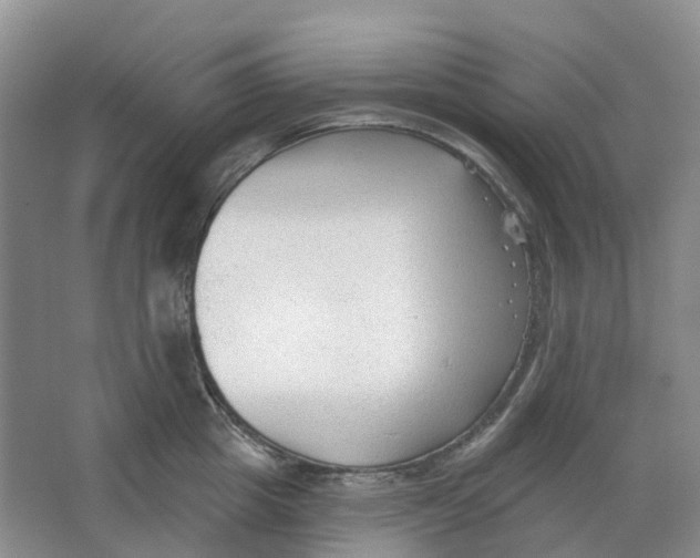 X0000066990857200604142231