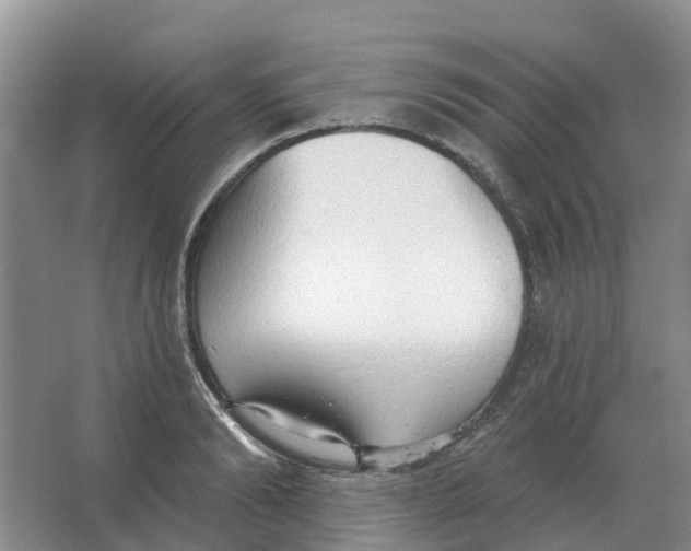X0000066990894200604142229