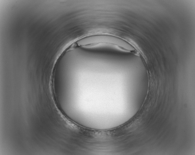 X0000066990901200604142229