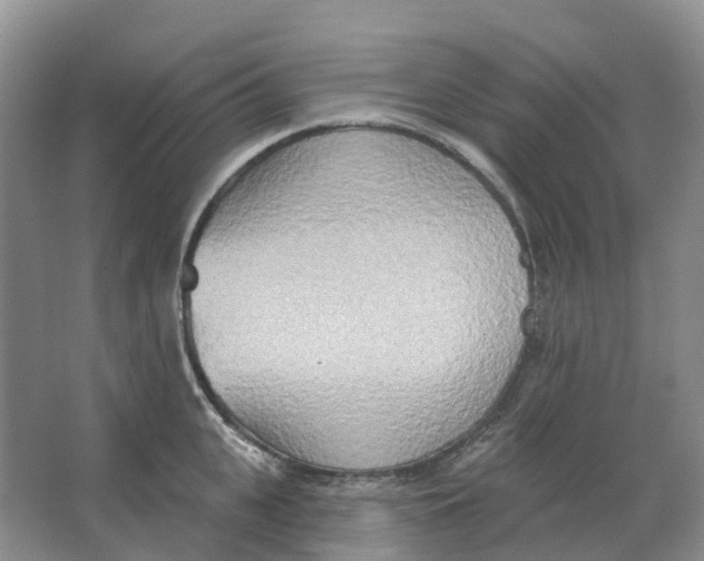 X0000066990951200604142229