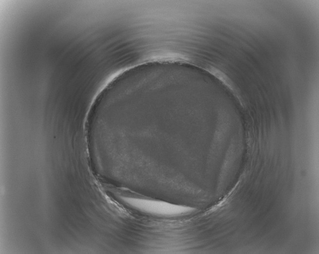 X0000066991022200604142227