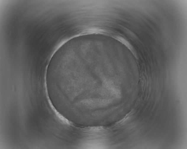 X0000066991055200604142227