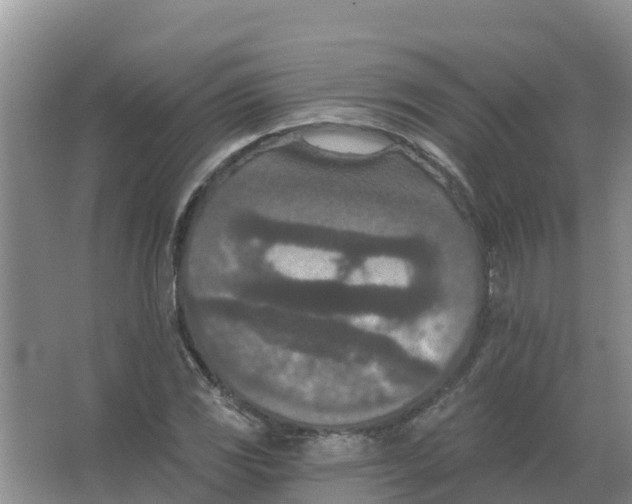X0000066991117200604142225