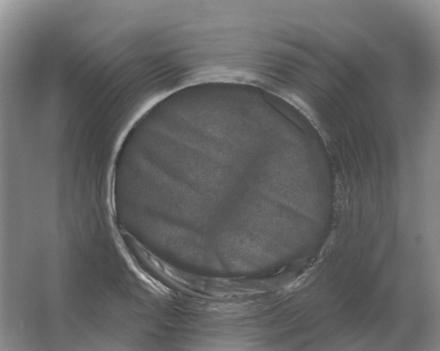 X0000066991128200604142225