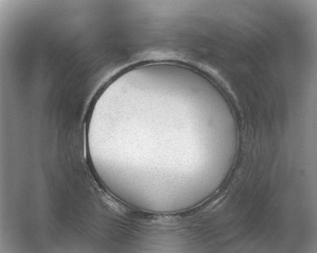 X0000066991175200604142225