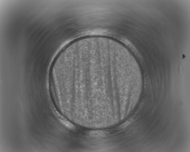 X0000066991232200604142224