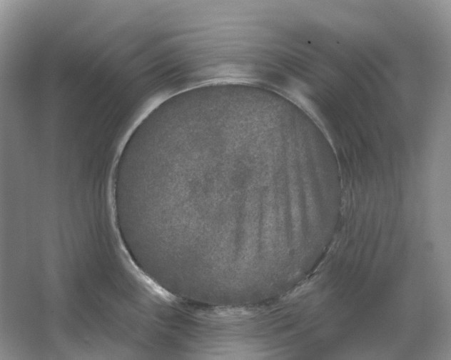 X0000066991243200604142224