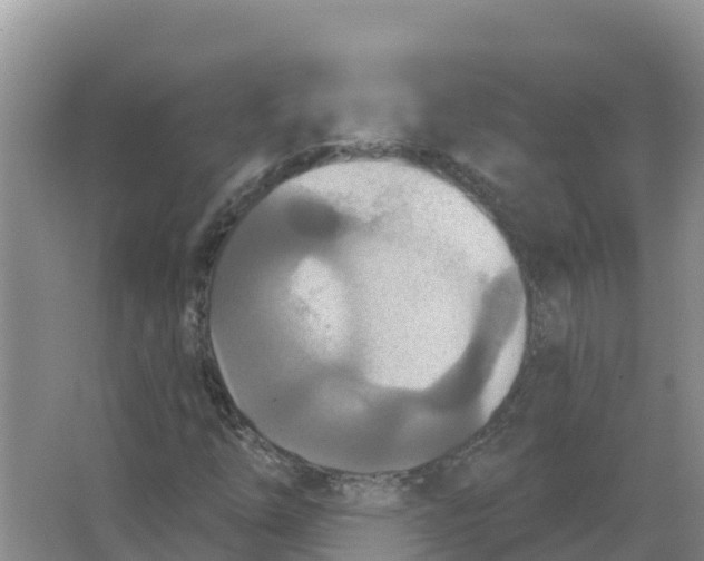 X0000066991254200604142223