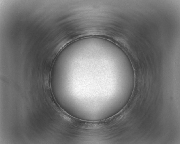 X0000066991273200604142223