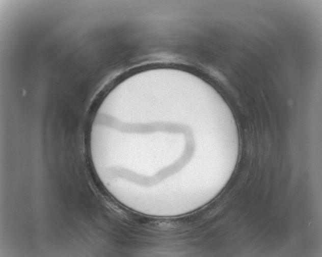 X0000066991318200604142222