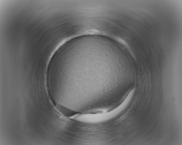 X0000066991326200604142222