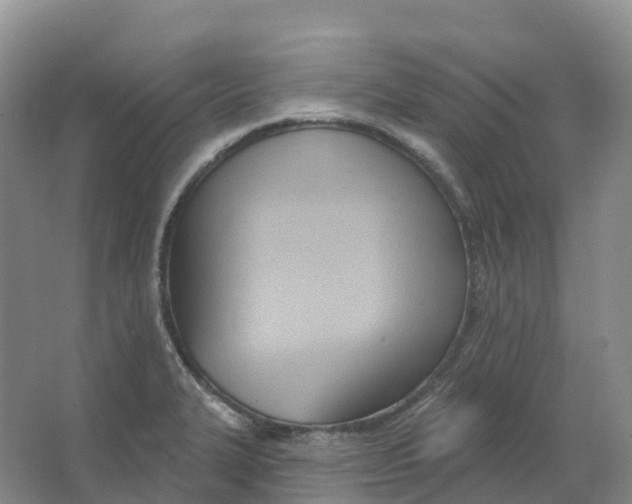 X0000066991327200604142222
