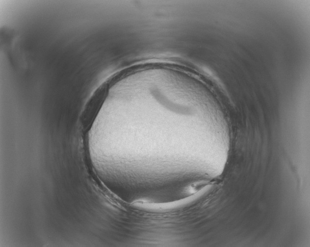 X0000066991360200604142222