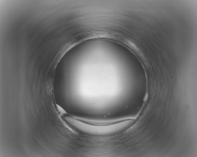 X0000066991377200604142221