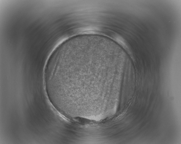 X0000066991384200604142221
