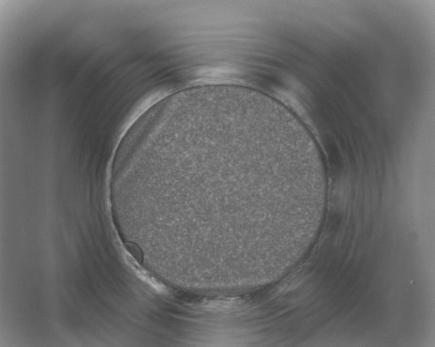 X0000066991386200604142221