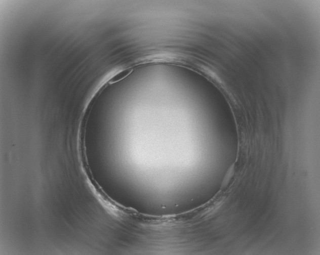 X0000066991426200604142221