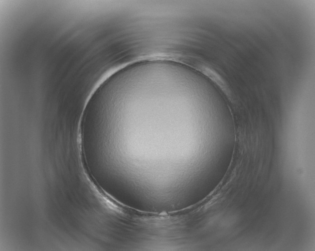 X0000066991428200604142221