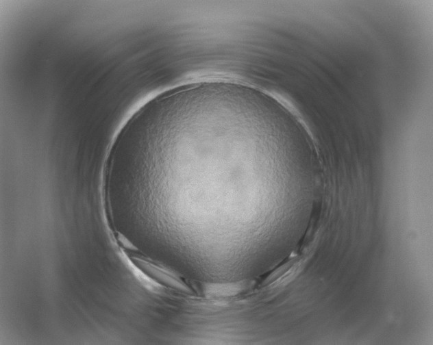 X0000066991438200604142221
