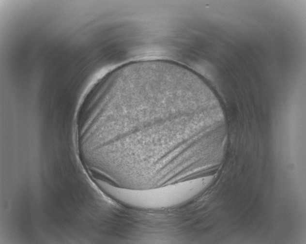 X0000066991472200604142220