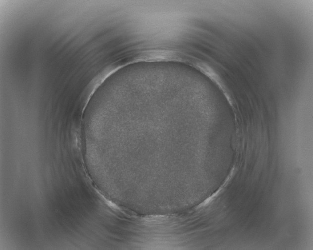 X0000066991481200604142219