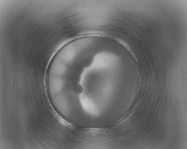 X0000066991482200604142219