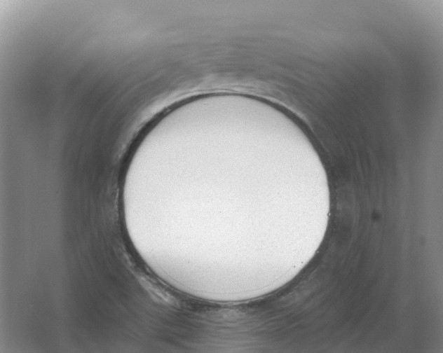 X0000066991507200604142219